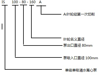 IS 1.jpg